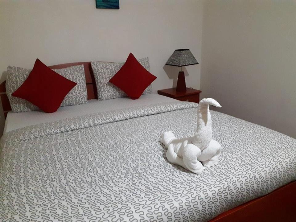 Spencer Holiday Apartments/Seagull Complex Νουβάρα Ελίγια Εξωτερικό φωτογραφία
